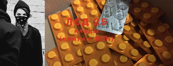 стафф Горнозаводск
