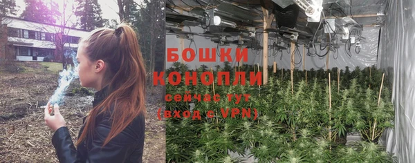 стафф Горнозаводск