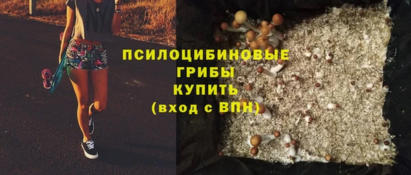 mix Горняк